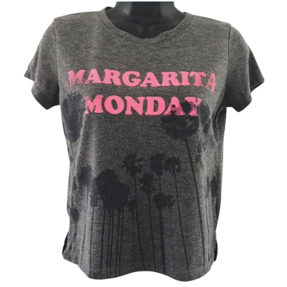 American Eagle Gray Graphic Crop Crewneck Baby Tee Shirt Top Small